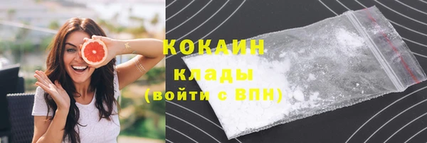 гидра Аркадак