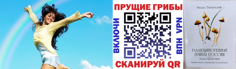 Галлюциногенные грибы Magic Shrooms  дарнет шоп  Нытва 